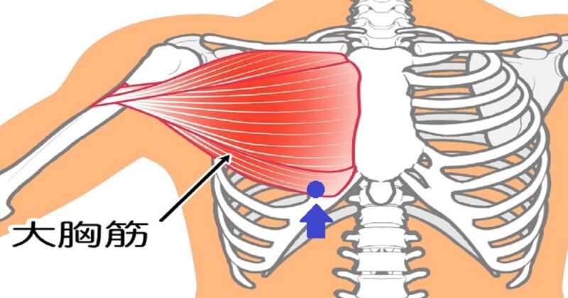 左胸の痛みの原因となる大胸筋